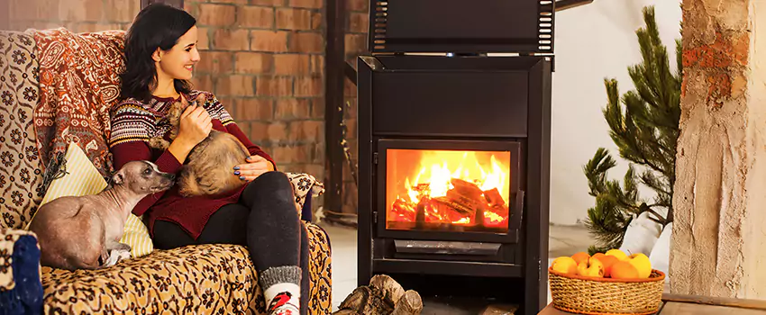Wood Stove Chimney Cleaning Services in Dyer, IN